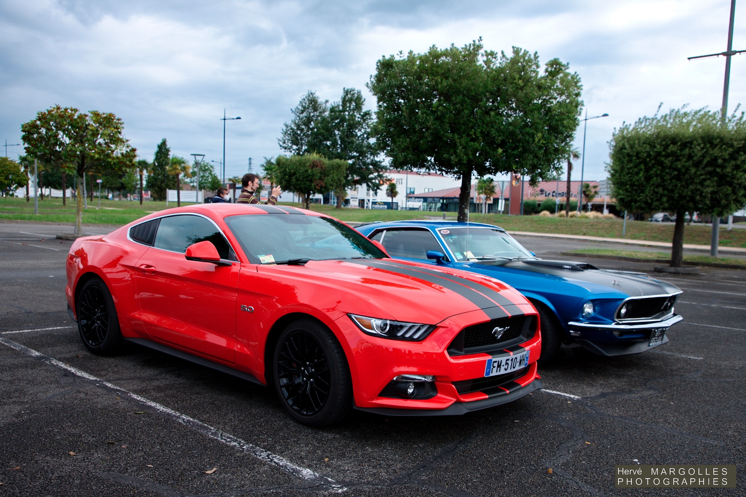 Ford Mustang-02.jpg